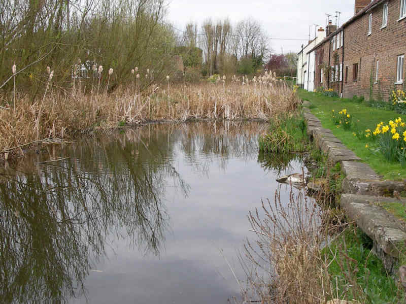 Stroudwater Canal - Framilode
