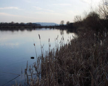 gravel pit lake - Frampton, Gloucestershire