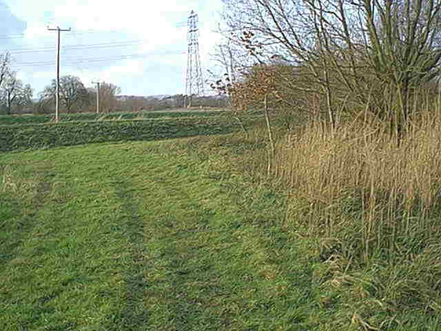 Frome from canal