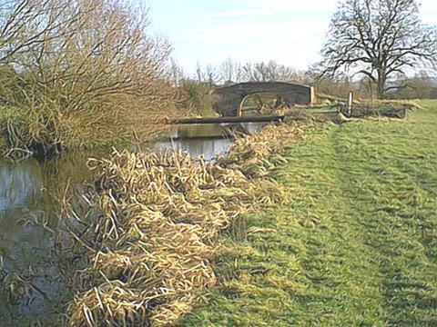 MOD Pipeline over canal