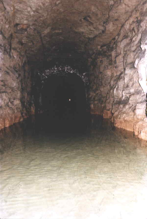 rock section of sapperton tunnel