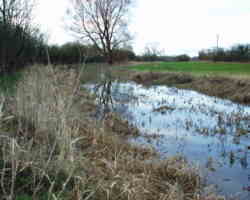 west of crane bridge in water - T&S Canal