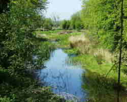 Claymeadow Cutting in water - T&S Canal