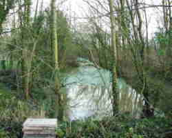 East of Perkleaze Bridge in water - T&S Canal